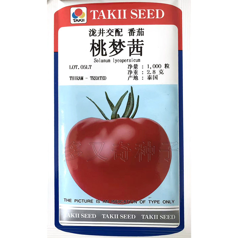 中蔬大果番茄种子抗病毒