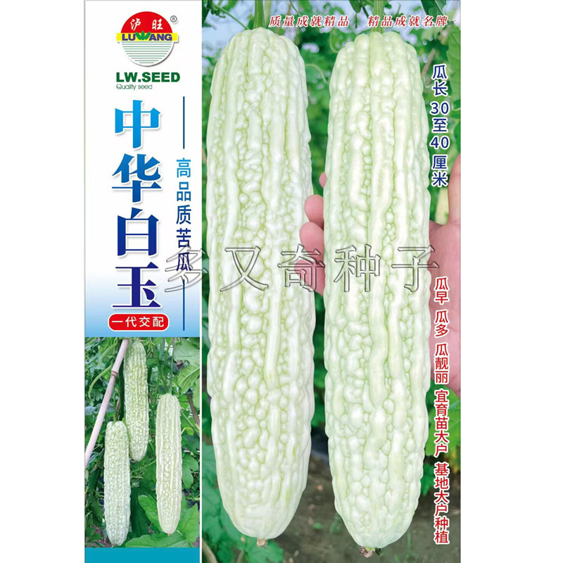 中华白玉苦瓜种子 春秋早熟长绿白苦瓜肉厚籽少耐热结瓜多蔬菜籽