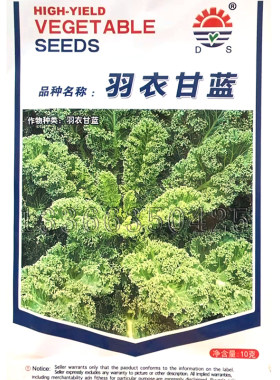 东升羽衣甘蓝种子 春秋播绿色羽衣甘蓝紫可盆栽观赏食用蔬菜种子