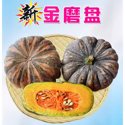 新金磨盘南瓜种子  南方春秋播早熟扁圆黄瓤香甜面老南瓜蔬菜种子