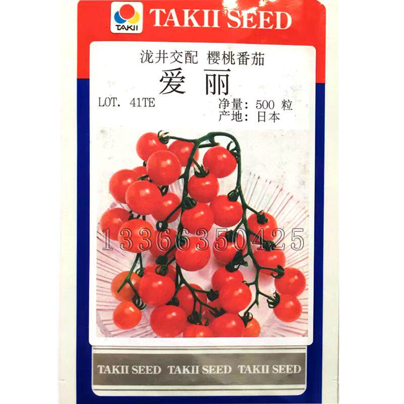 爱丽番茄种子 日本进口春秋早熟红色小柿子种子酸甜可口蔬菜种子