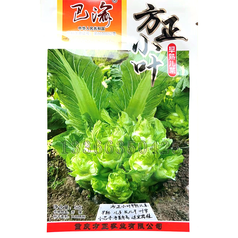 方正小叶儿菜种子 秋播早熟发儿早多小芯子叶片小密植型娃娃菜籽