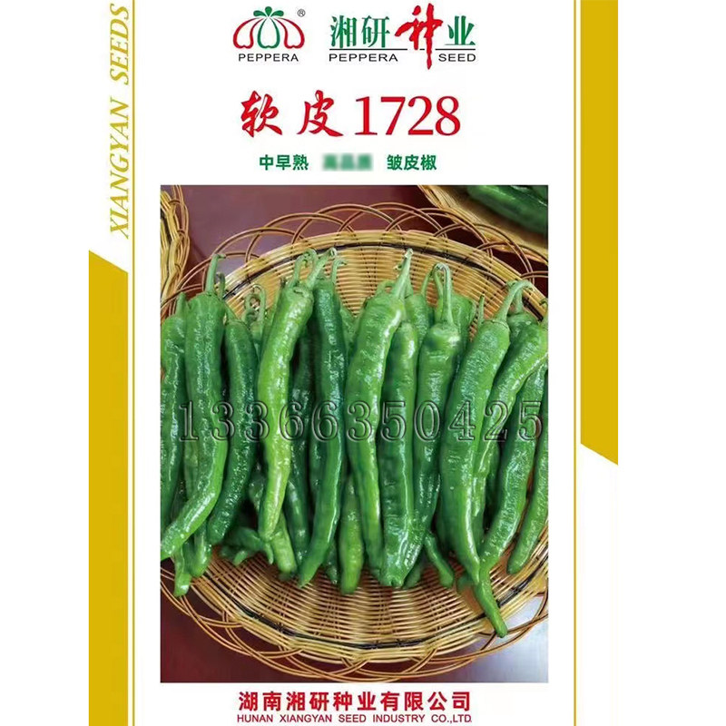 软皮1728辣椒种子 春秋早熟皱薄皮质脆嫩翠绿皮软糯香甜微辣椒籽