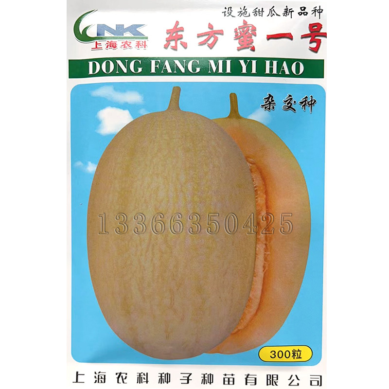 东方蜜一号甜瓜种子 春秋白皮橙红肉质松脆细腻多汁爽口香瓜种子