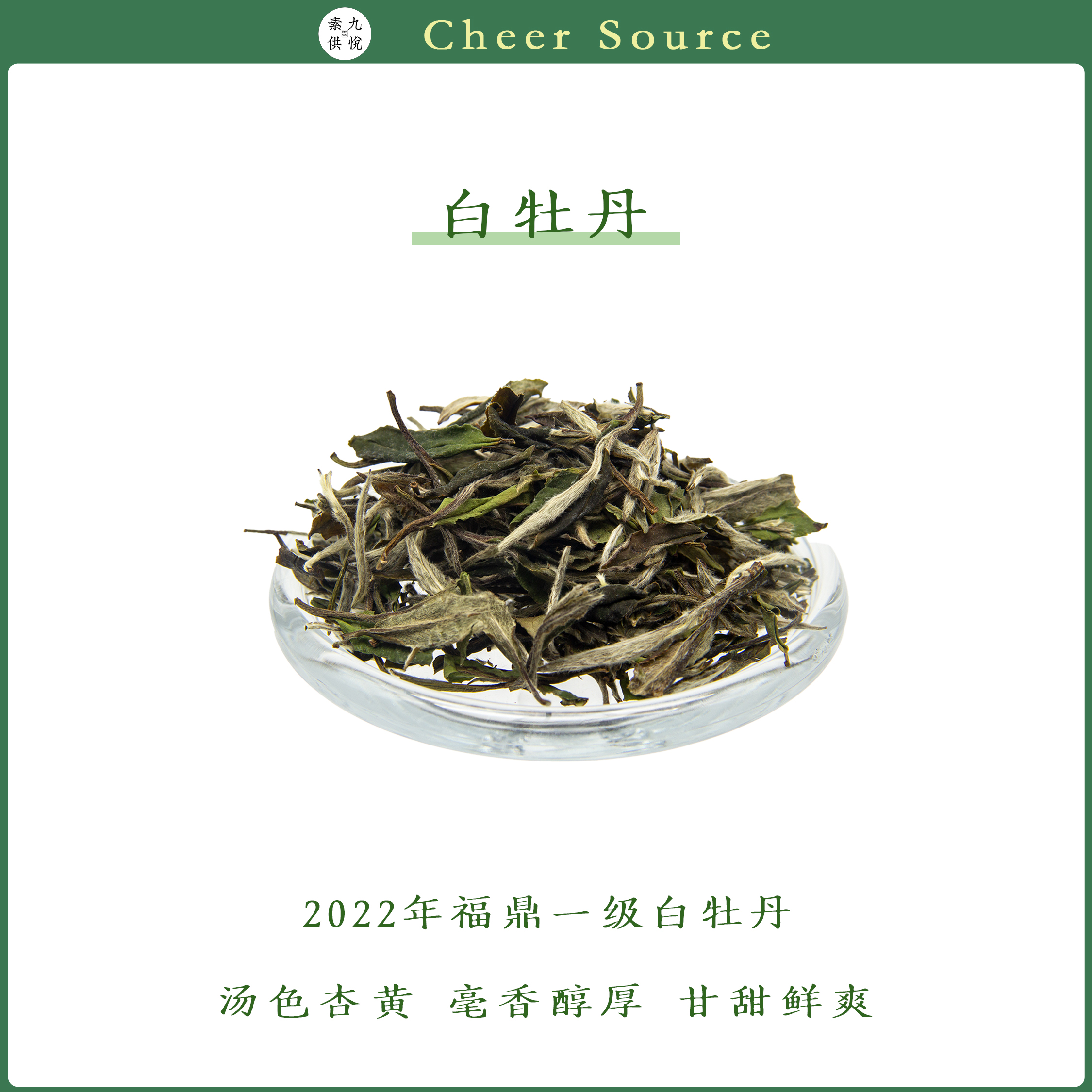 九悦素供白牡丹白茶福建福鼎
