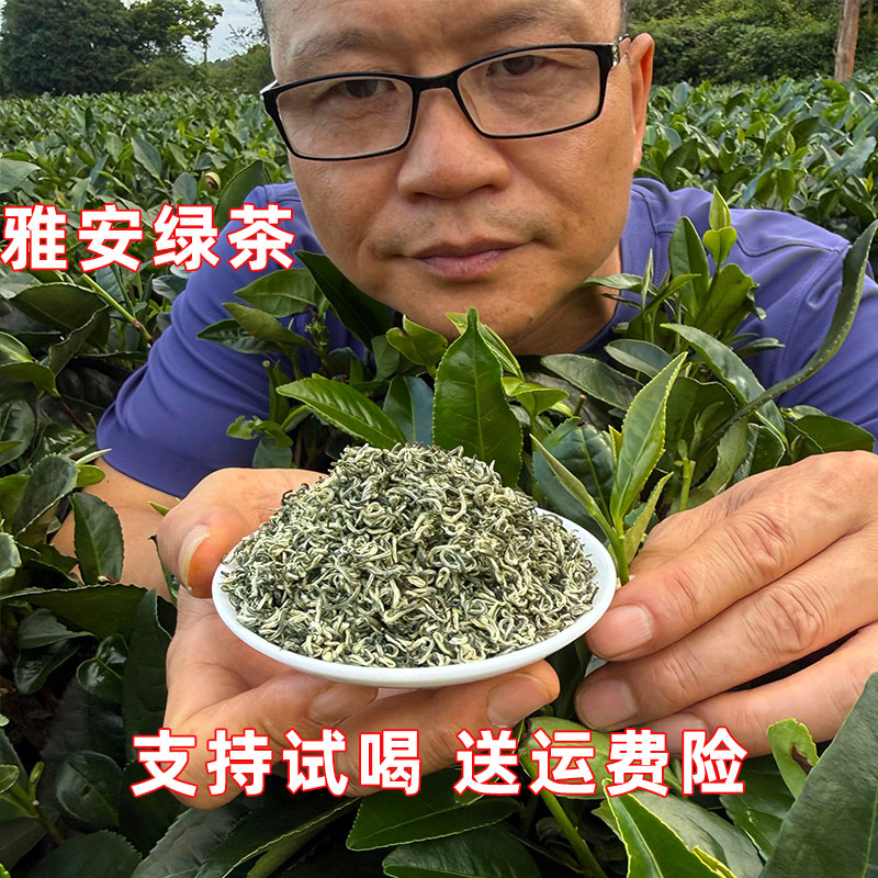 蒙顶山茶2026新茶四川雅安毛峰绿茶云雾香茶叶老茶客口粮茶清香型