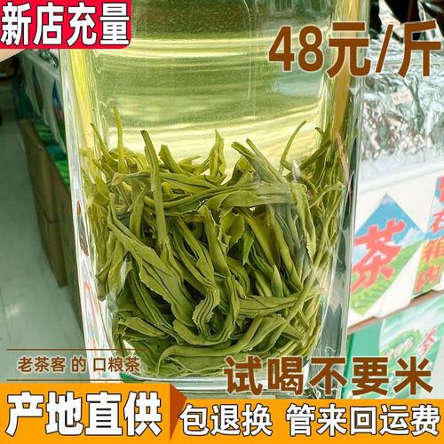 2026雅安蒙顶毛峰绿茶多规格款