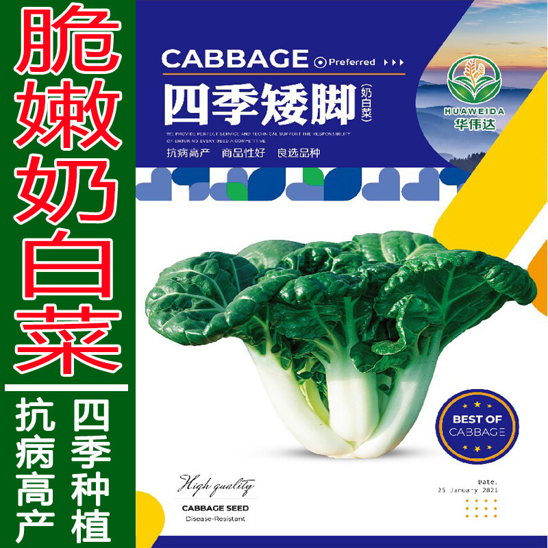 四季奶油小白菜种子小菘菜青菜蔬菜种籽孑阳台盆栽菜园春季播菜籽,鲜花速递/花卉仿真/绿植园艺,家庭园艺种子,淘宝优惠券,粉丝福利购,淘宝优惠卷