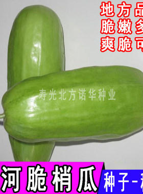水果老品种甜瓜种子四季水果种子