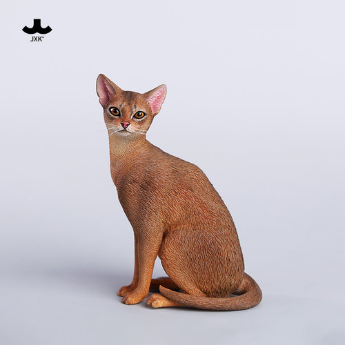 现货JXK1/6阿比西尼亚猫模型