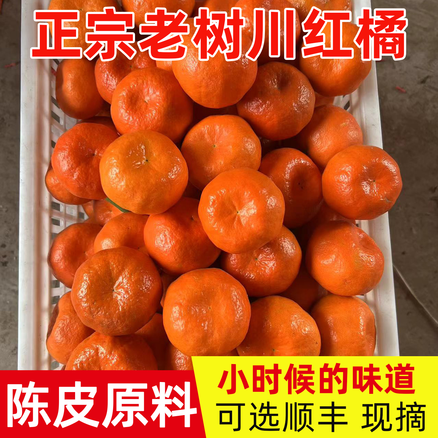 四川红橘古红桔子老树大红袍酸甜柑子孕妇水果新鲜10斤陈皮原料