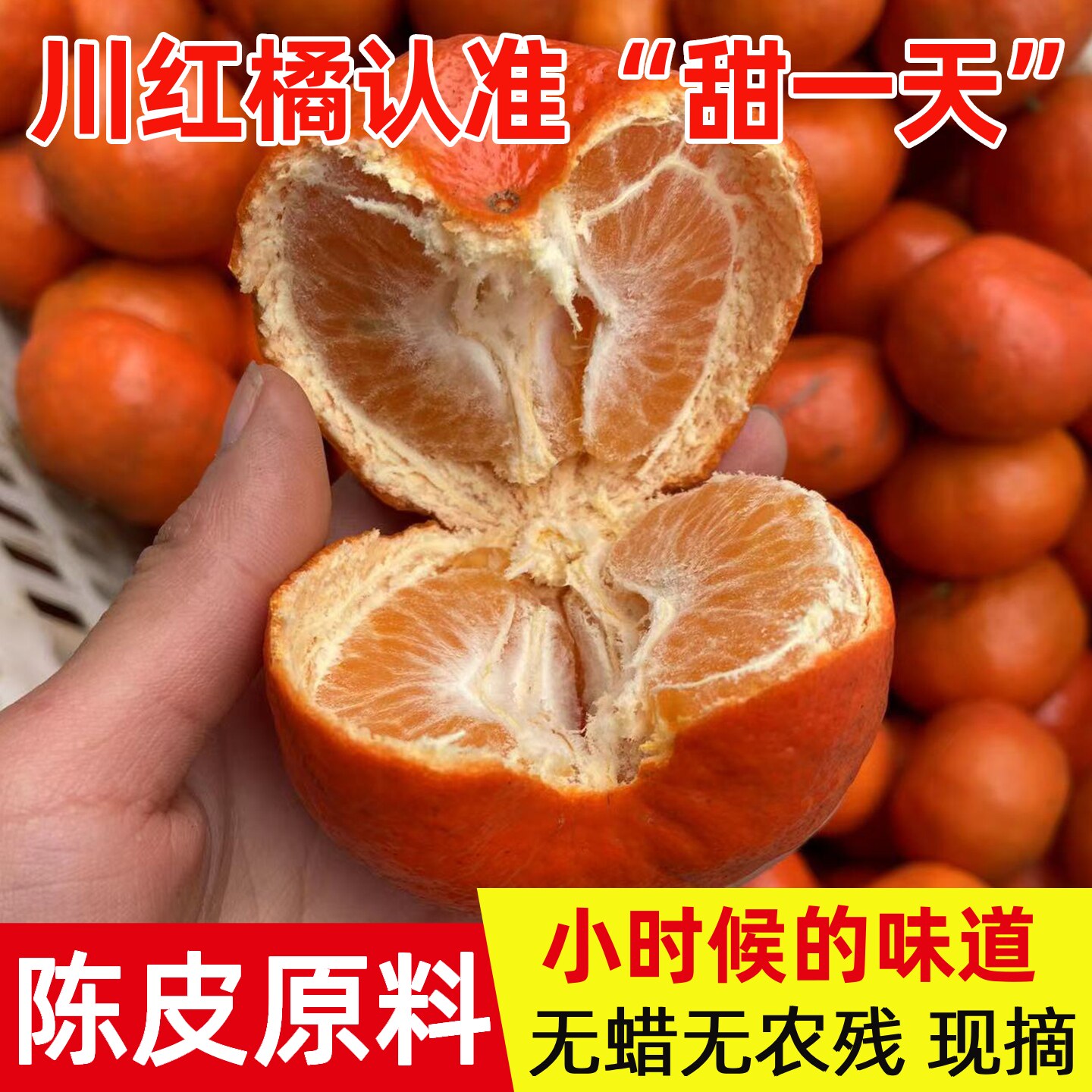 四川红橘古红桔子老树大红袍酸甜柑子孕妇水果新鲜10斤陈皮原料