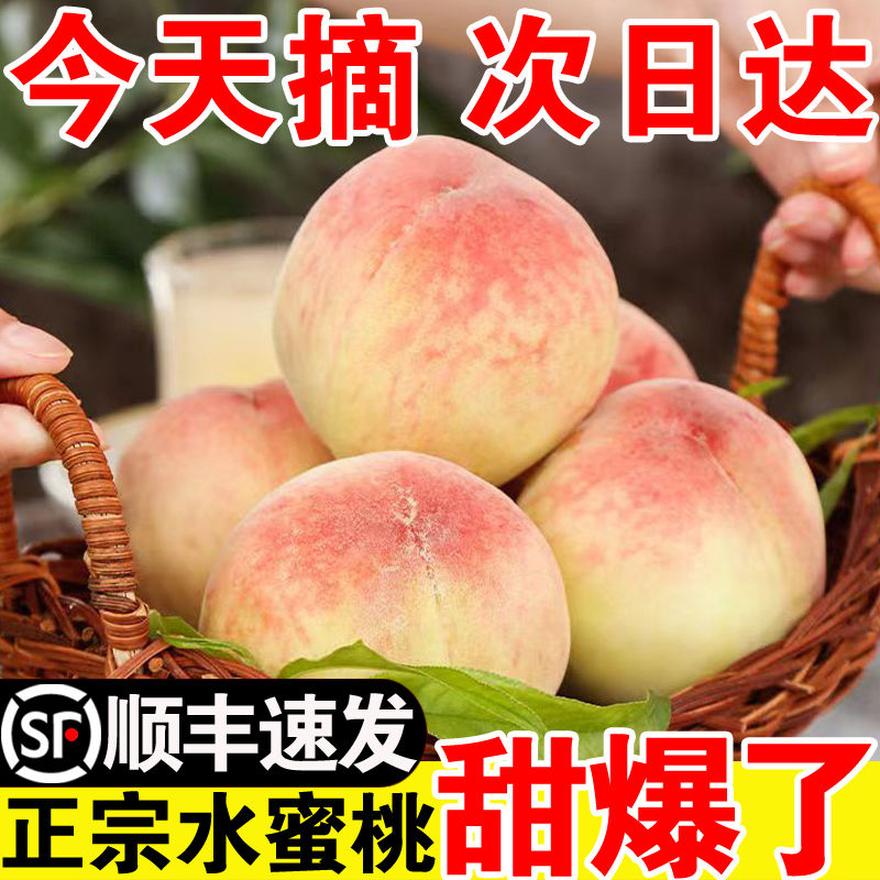 【现摘现发】水蜜桃新鲜桃子孕妇幼儿应季当季水果脆甜水蜜桃现货