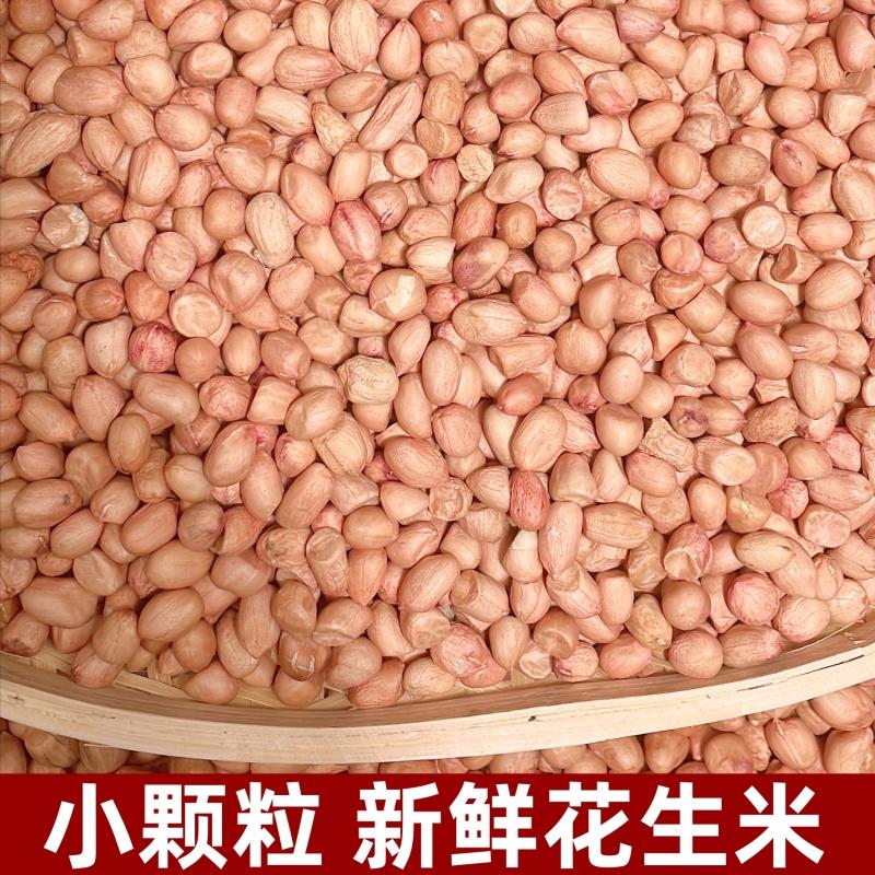 【精选小颗粒】2025年新鲜花生米5斤/10斤新货现剥粉皮白沙生花生