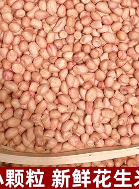 【精选小颗粒】2025年新鲜花生米5斤/10斤新货现剥粉皮白沙生花生