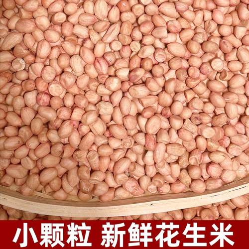 【精选小颗粒】2026年新鲜花生米5斤/10斤新货现剥粉皮白沙生花生