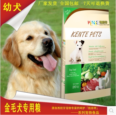凯恩特格力金毛惠比特10kg成犬
