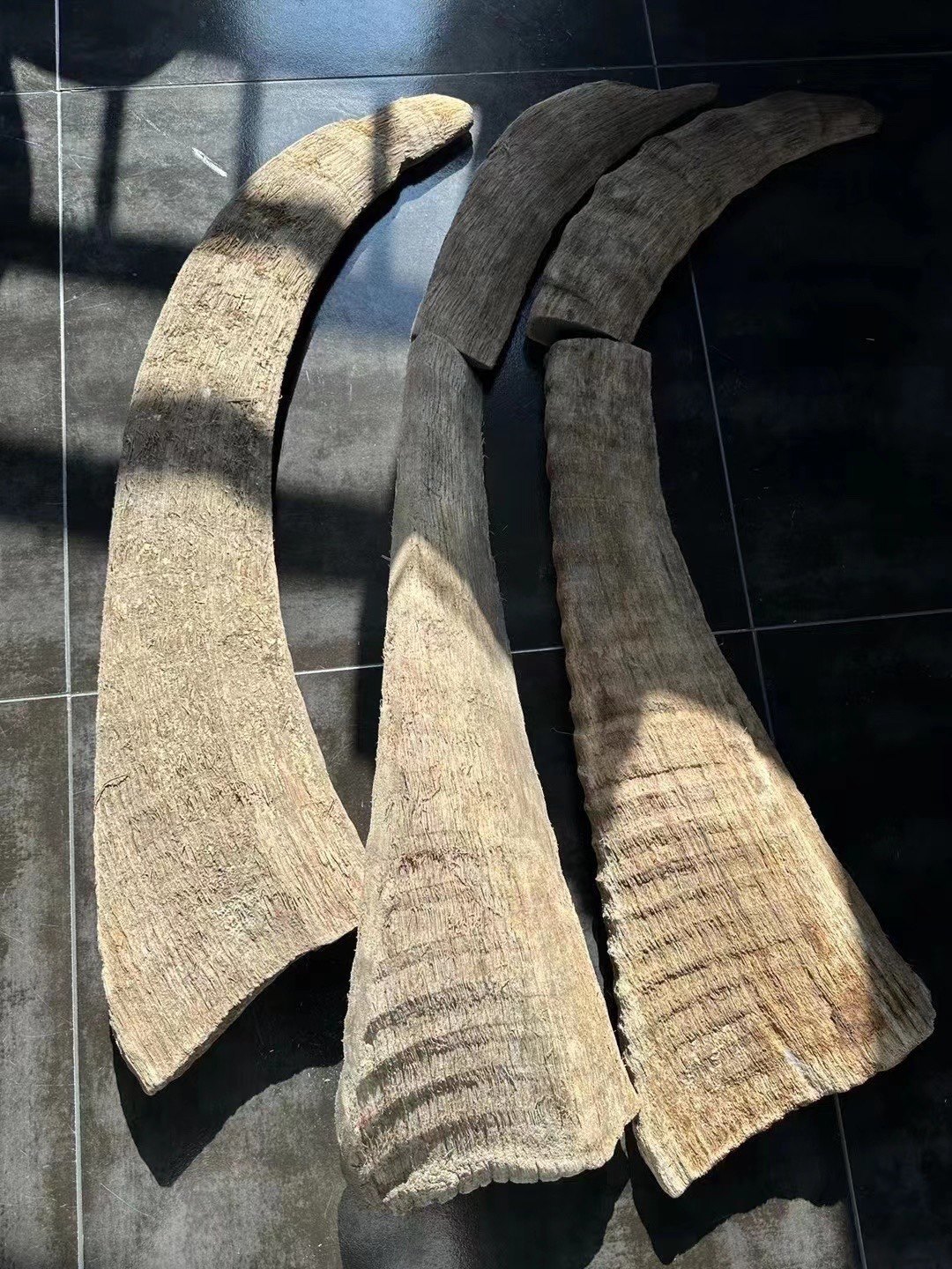 保真天然披毛犀角亚洲非洲高端文玩古玩摆件髓腔鱼籽纹竹丝纹清晰