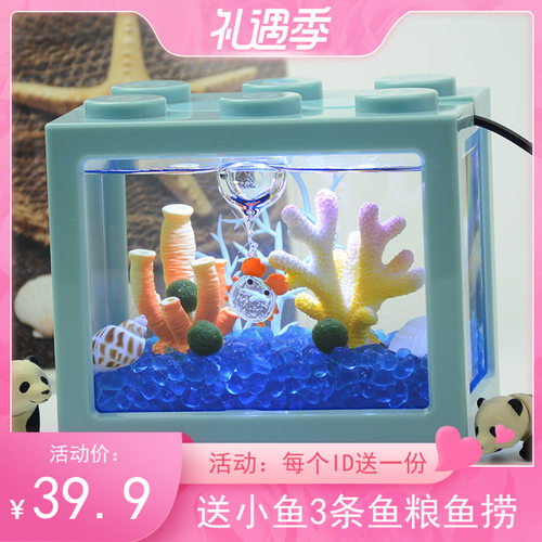 marimo海藻球微景观生态瓶鱼缸