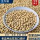 2025新黄豆农家自种非转基因老品种土黄豆打豆浆做豆腐豆花专用豆