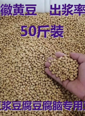 2025新豆安徽黄豆商用非转基因打豆浆 做豆腐豆腐脑 豆花专用50斤