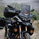 适用无极DS625X贴纸摩托车改装 配件装 饰风挡拉花防水反光轮毂贴纸