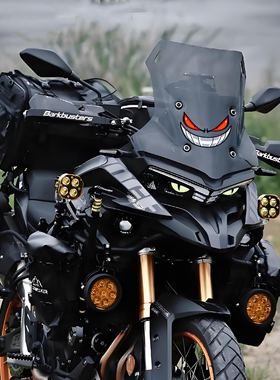 适用无极DS625X贴纸摩托车改装配件装饰风挡拉花防水反光轮毂贴纸