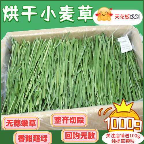 2026年小麦草新烘干干草兔粮豚鼠饲料岷县直发箱装毛重1000g包邮