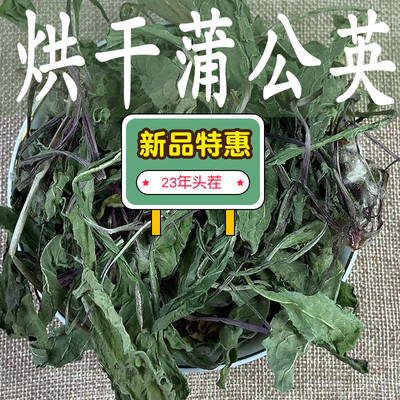 25年新烘干烘干蒲公英叶子多爱吃