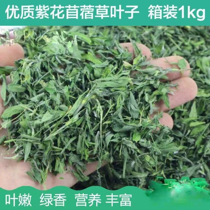 25年新烘干全叶苜蓿草干草兔子食用龙猫粮食兔粮饲料荷兰猪牧草新,宠物/宠物食品及用品,兔兔干草,淘宝优惠券,粉丝福利购,淘宝优惠卷