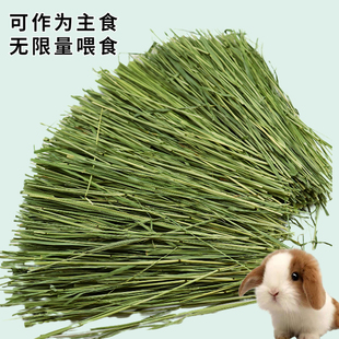 烘干多杆子特级提摩西草段嫩绿少杆小宠物龙猫兔子磨牙食物干草牧