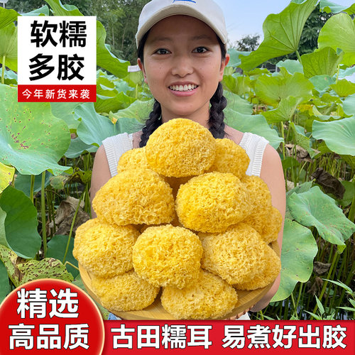 湘小暖精选古田丑耳糯耳大银耳