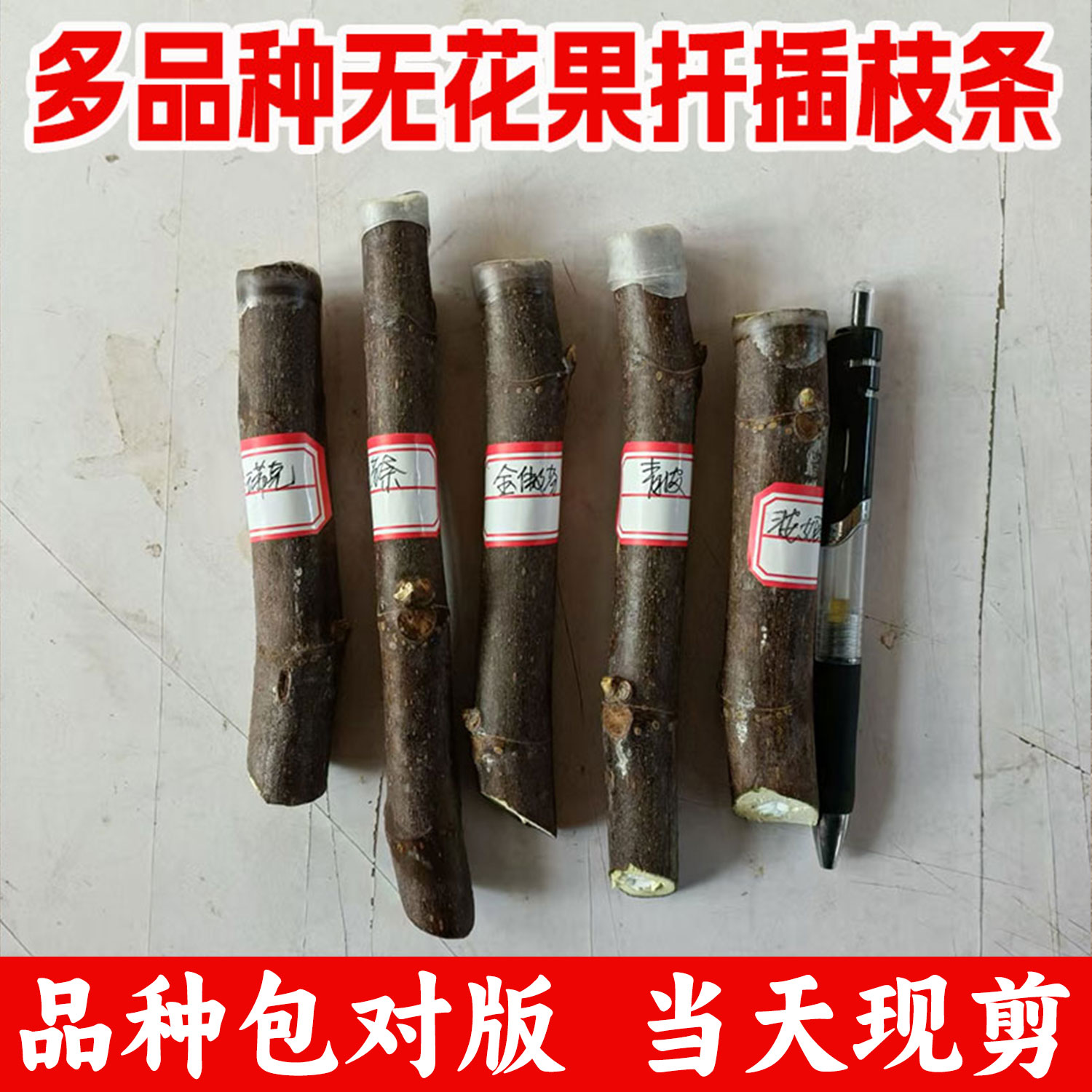 波姬红无花果扦插枝条苗新手易活图片