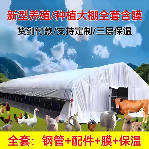新式大棚骨架钢管养殖大棚全套育苗棚养鸡猪蔬菜种植大棚拱架支架