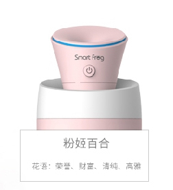 Humidificateur USB - Ref 412610 Image 4