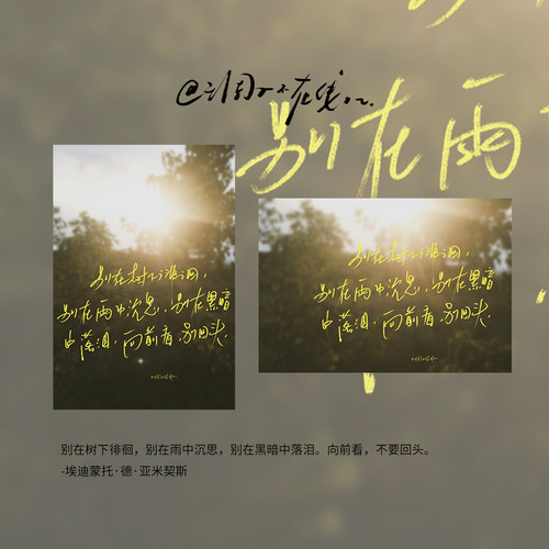 调子原创「别在树下徘徊，别在雨中沉思......」明信片单张