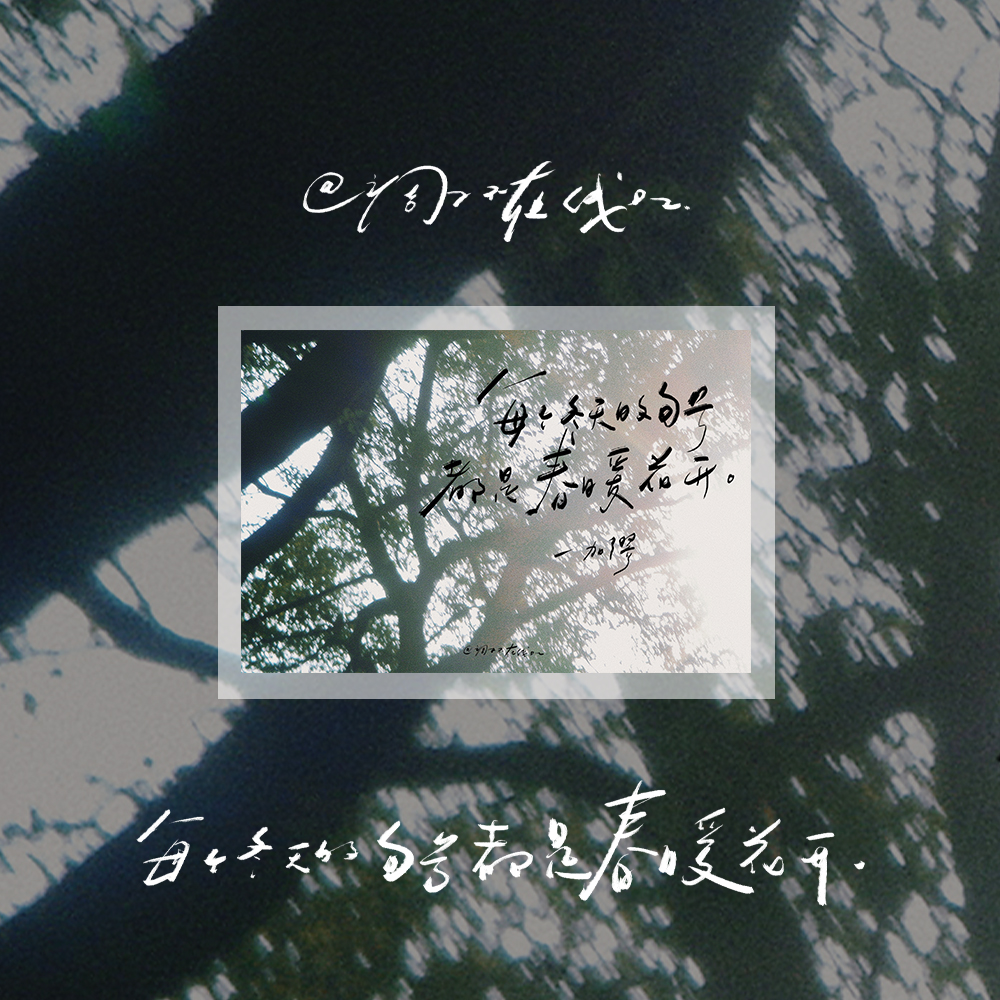 调子原创「每一个冬天的句号都是春暖花开」明信片单张
