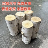 天然白桦木原木木桩白桦树枝枯树橱窗隔断屏风家居玄关装 饰树干