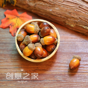 天然橡果干花果云杉果拍照搭配小果子森林小道具干花果橡果帽