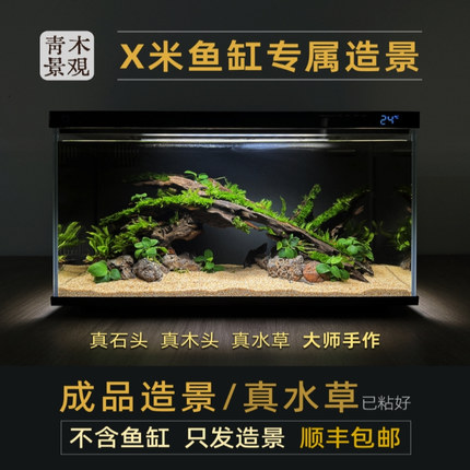 小鱼缸X米尼特利森林造景拱桥水草缸南美画法几何鱼缸沉木成品景
