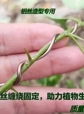 盆景造型专用铝丝铝线盘扎铝丝线蟠扎园艺铝条花卉罗汉松定型吕丝