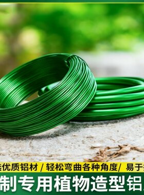 金枝玉叶专用盆景造型铝丝铝线盘扎铝丝线蟠扎园艺铁丝花卉定型