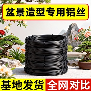 金枝玉叶绿植造型铝丝盆景专用吕丝压枝固定线植物铝线绑花铝丝