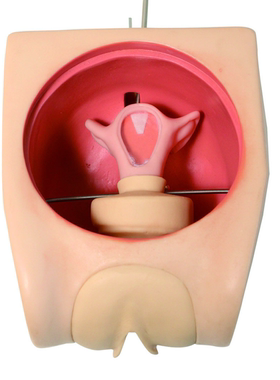 级计划生育教育模型GD/FT33B/避孕模型\避孕指导模型\计生模型