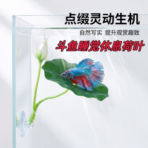斗鱼缸造景仿真叶子睡觉躲避