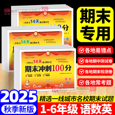 2025新版小学期末冲刺100分试卷