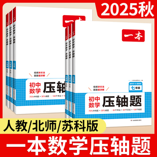 一本数学压轴题2025初中人教版七年级八年级九年级有理数方程初一初二初三上册下册专题专项训练解题模板例题练习计算题训练旗舰店