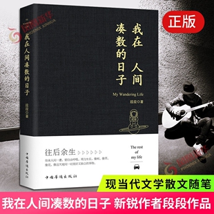 我在人间凑数的日子 段段著 皮友段友新锐作者段段创作 热门散文集 走心随笔集 写尽普通人的迷茫 心事 没有鸡汤只有自愈