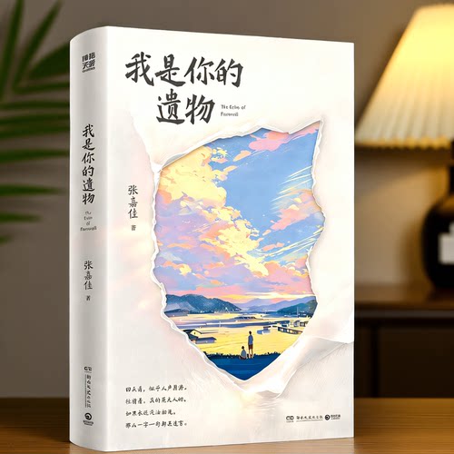 正版！我是你的遗物张嘉佳新书