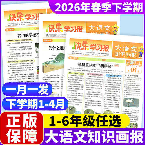 大语文知识画报少年报纸杂志